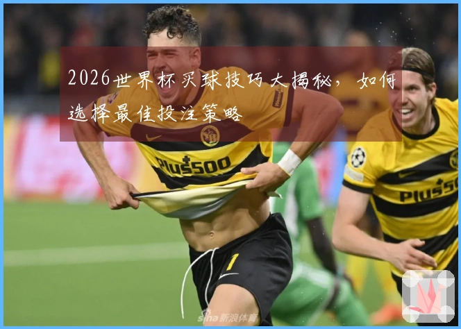 2026世界杯买球技巧大揭秘,如何选择最佳投注策略