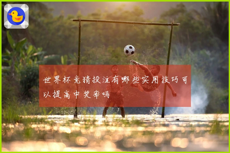 世界杯竞猜投注有哪些实用技巧可以提高中奖率吗