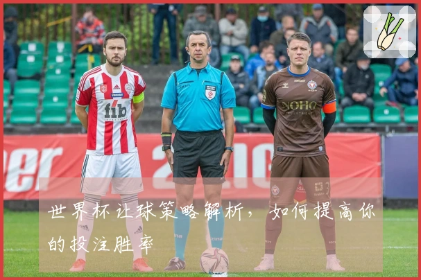 世界杯让球策略解析，如何提高你的投注胜率
