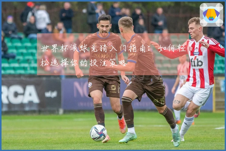 世界杯滚球竞猜入门指南：如何轻松选择你的投注策略