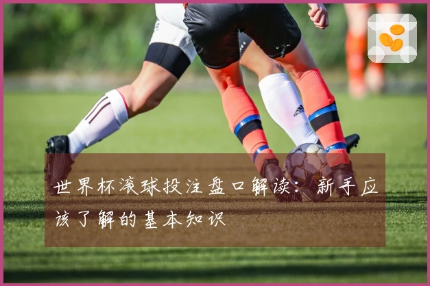 世界杯滚球投注盘口解读：新手应该了解的基本知识