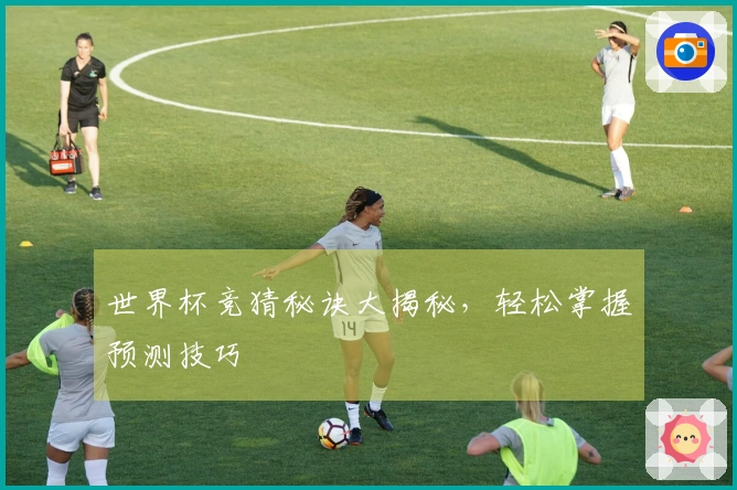 世界杯竞猜秘诀大揭秘，轻松掌握预测技巧