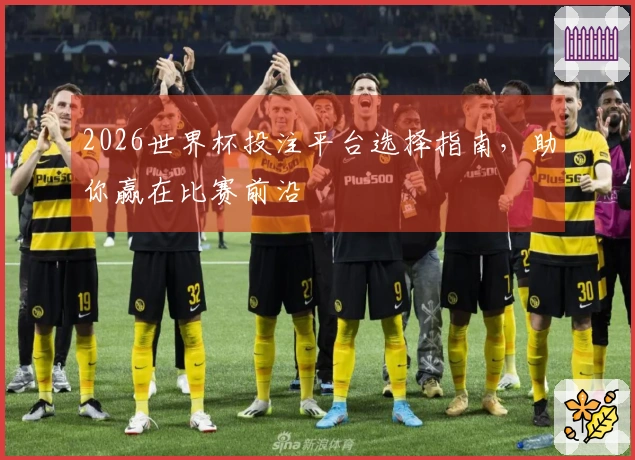 2026世界杯投注平台选择指南，助你赢在比赛前沿
