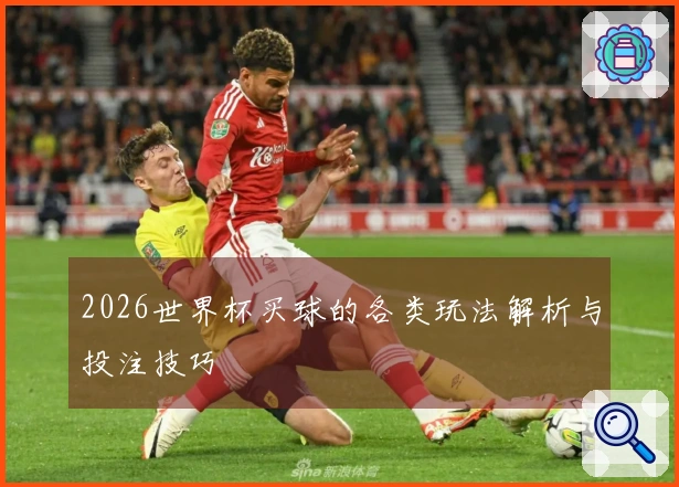 2026世界杯买球的各类玩法解析与投注技巧