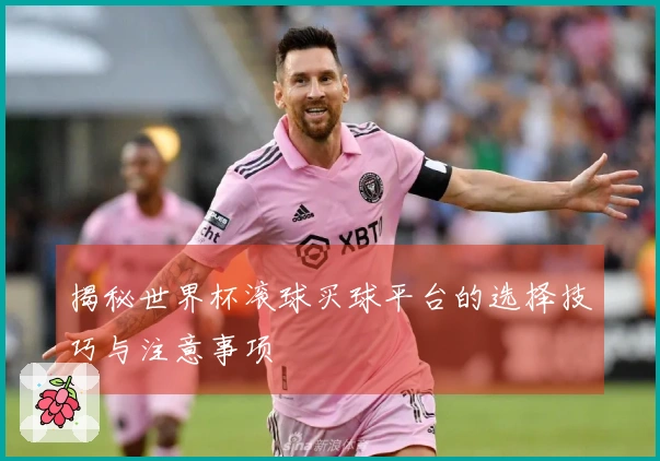 揭秘世界杯滚球买球平台的选择技巧与注意事项