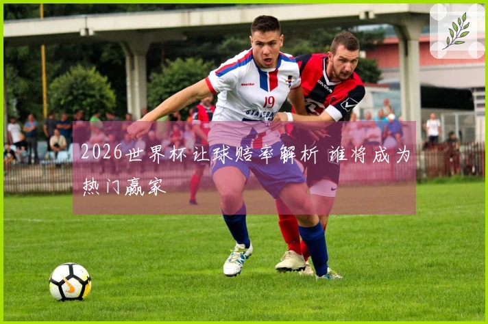 2026世界杯让球赔率解析 谁将成为热门赢家