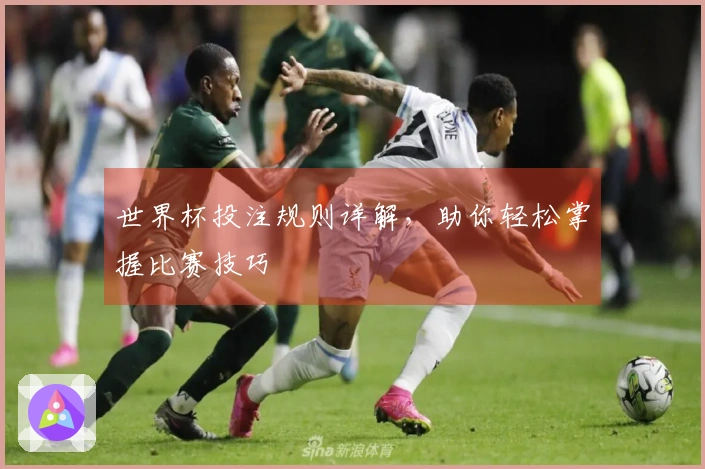世界杯投注规则详解，助你轻松掌握比赛技巧