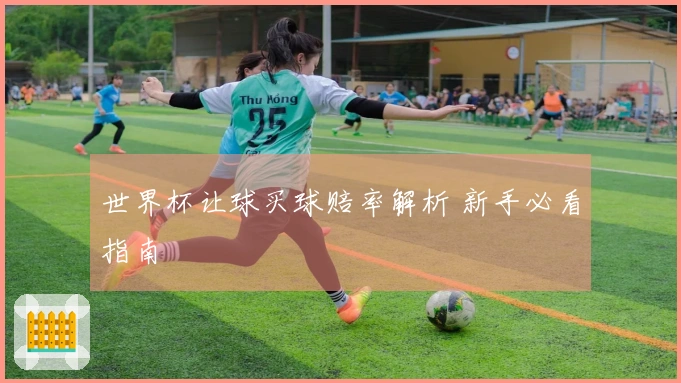 世界杯让球买球赔率解析 新手必看指南