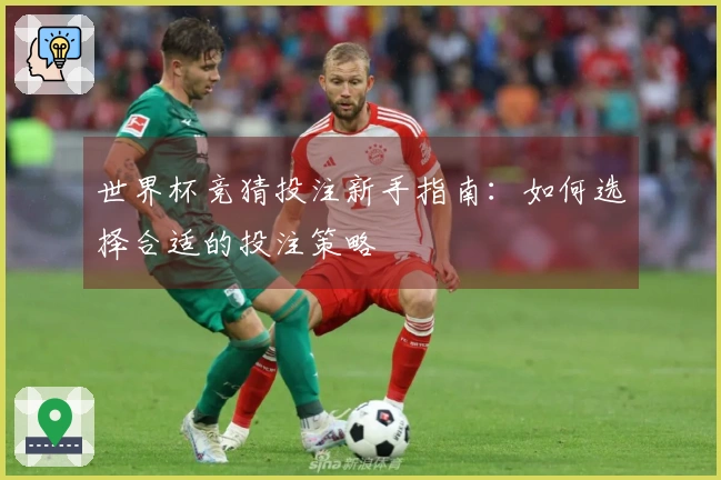 世界杯竞猜投注新手指南：如何选择合适的投注策略