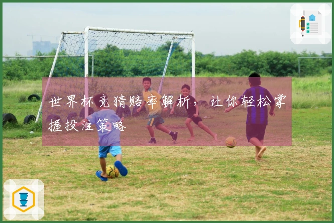 世界杯竞猜赔率解析，让你轻松掌握投注策略