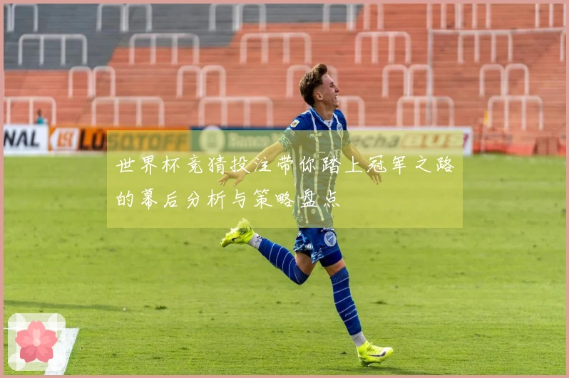 世界杯竞猜投注带你踏上冠军之路的幕后分析与策略盘点