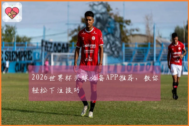 2026世界杯买球必备APP推荐，教你轻松下注技巧