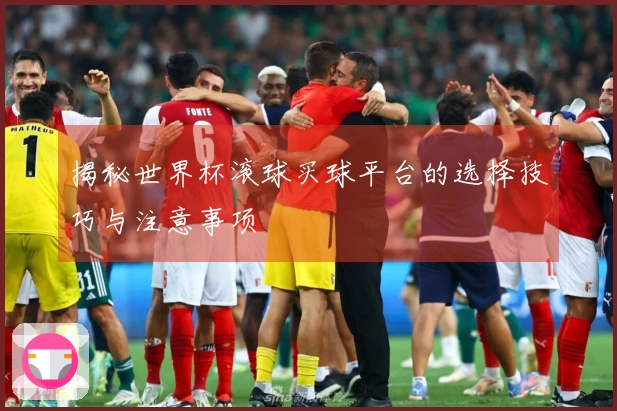 揭秘世界杯滚球买球平台的选择技巧与注意事项