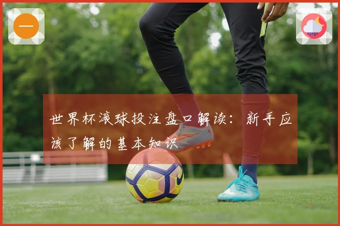 世界杯滚球投注盘口解读：新手应该了解的基本知识