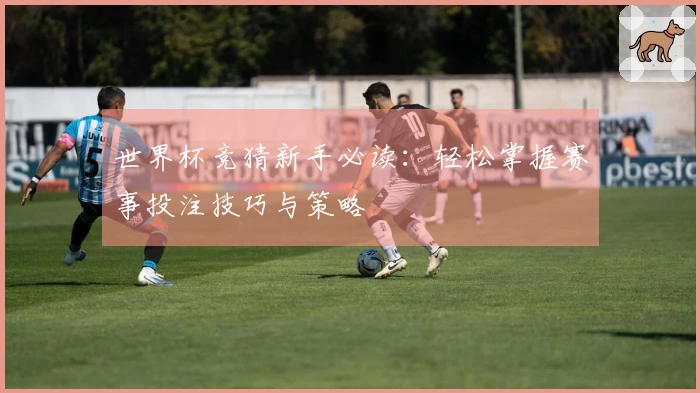 世界杯竞猜新手必读：轻松掌握赛事投注技巧与策略
