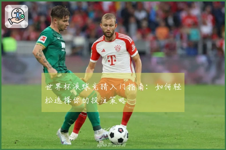 世界杯滚球竞猜入门指南：如何轻松选择你的投注策略