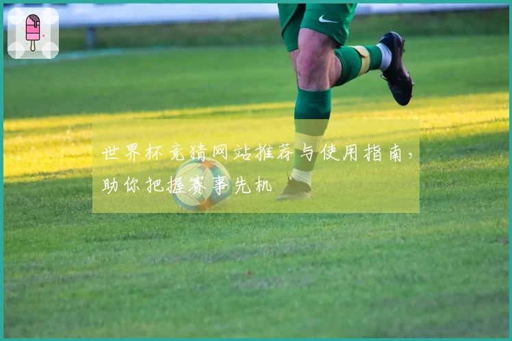 世界杯竞猜网站推荐与使用指南，助你把握赛事先机