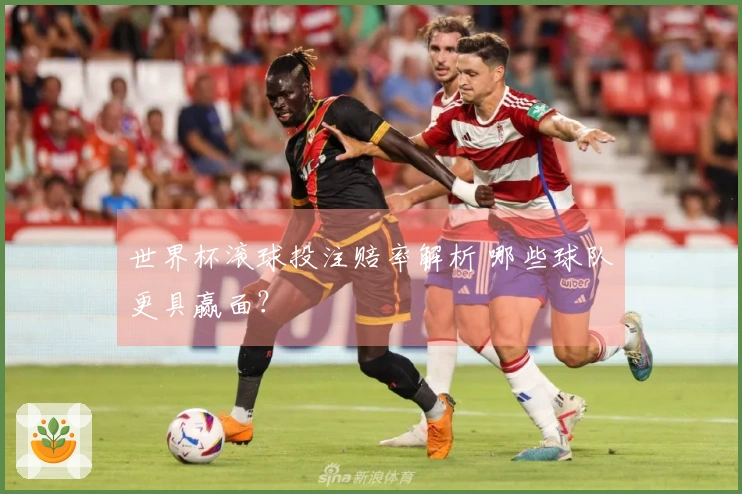 世界杯滚球投注赔率解析 哪些球队更具赢面？
