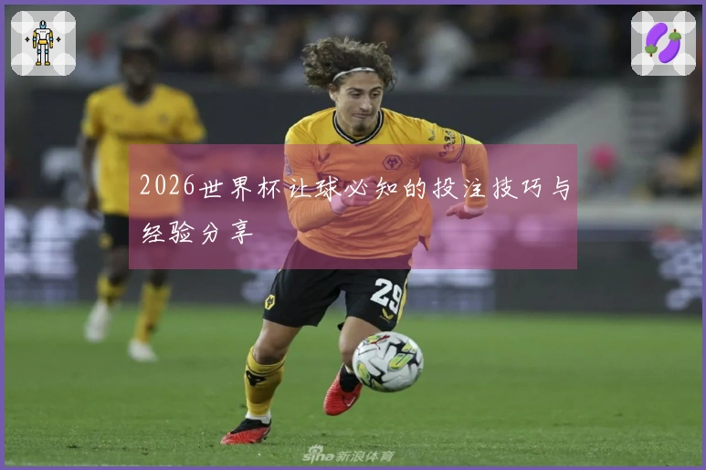 2026世界杯让球必知的投注技巧与经验分享