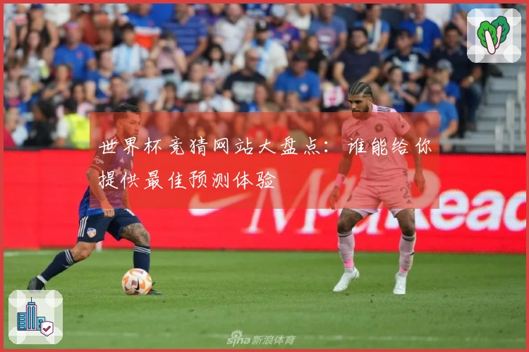 世界杯竞猜网站大盘点：谁能给你提供最佳预测体验